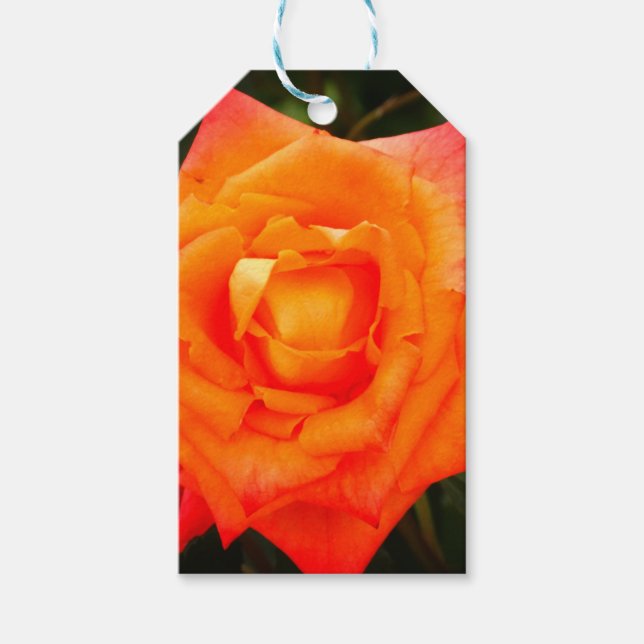Étiquettes-cadeau Balise cadeau Orange Rose photo (Devant)