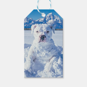 Étiquettes-cadeau Balise cadeau Snowman Pitbull Chien Chien Chien Gr