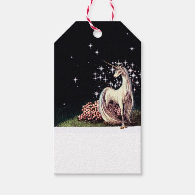 Étiquettes-cadeau Balise Cadeau Unicorn (Devant)