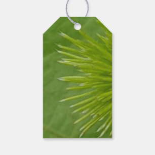 Étiquettes-cadeau Balise Cadeau vert naturel