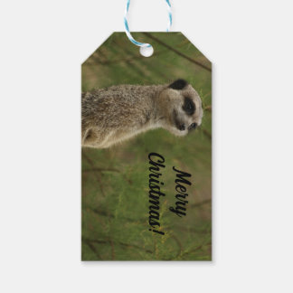 Étiquettes-cadeau Balise de Noël Joyeux Meercat