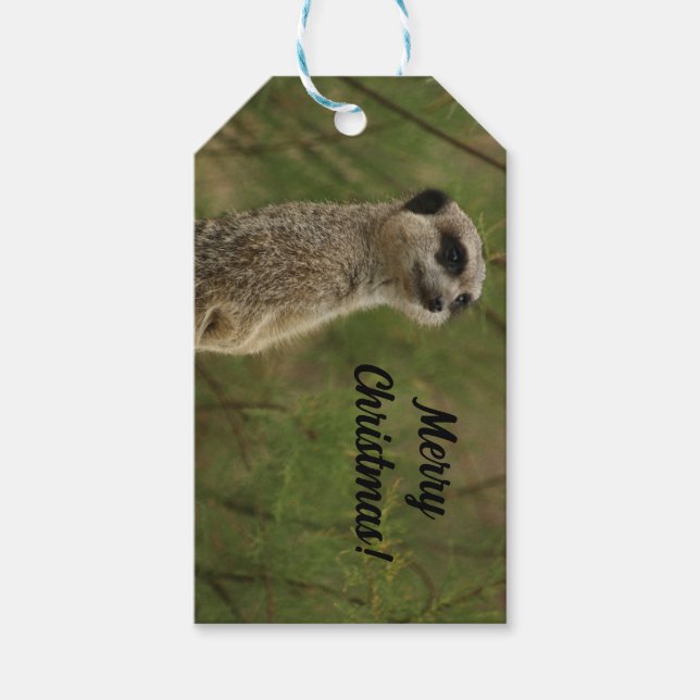 Étiquettes-cadeau Balise de Noël Joyeux Meercat (Devant)
