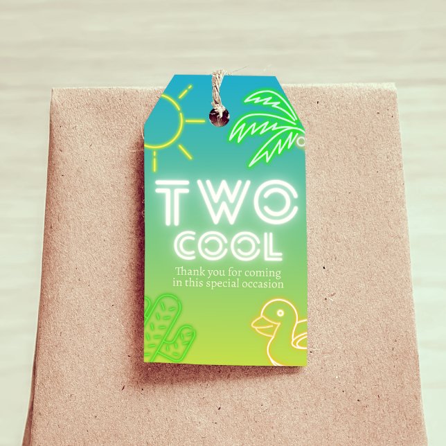 Étiquettes-cadeau Balise Deux Cool 2e anniversaire Favoriser (Two Cool 2nd Birthday Favor Tag)