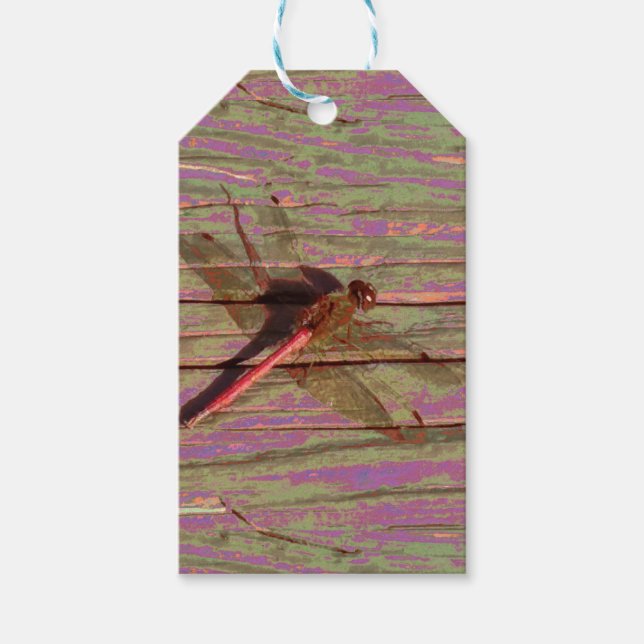 Étiquettes-cadeau Balises Cadeau Colorful Dragonfly (Devant)