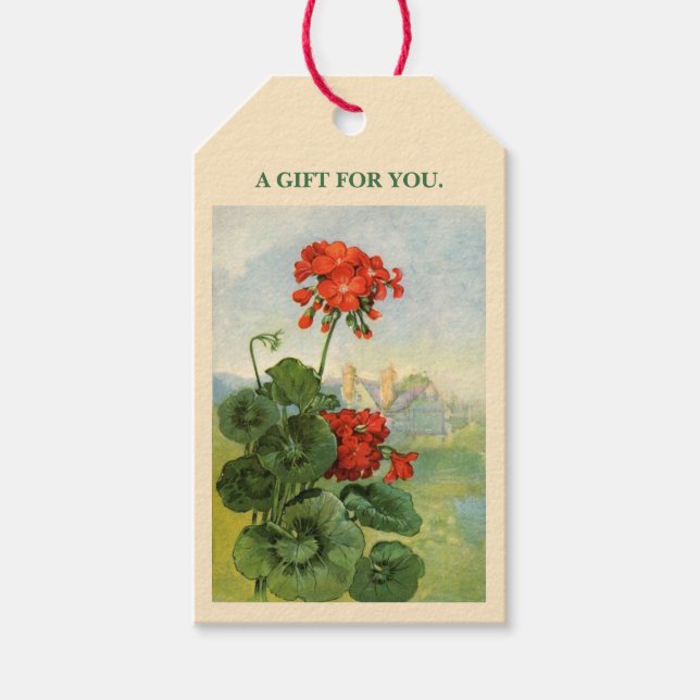 Étiquettes-cadeau Balises cadeau de géranium de fleur florale (Devant)