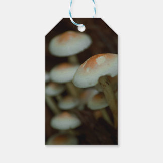 Étiquettes-cadeau Balises cadeaux de champignons