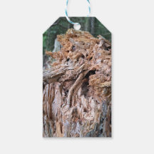 Balises cadeaux de l'arbre cassé