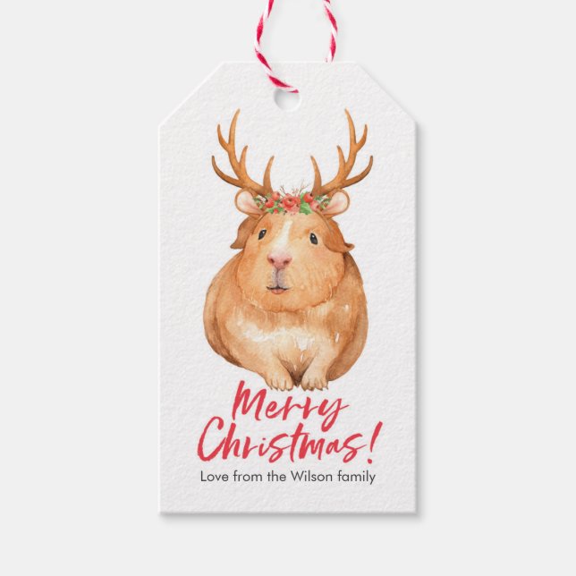 Étiquettes-cadeau Balises cadeaux de Noël hamster mignon (Devant)