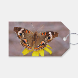 Étiquettes-cadeau Beau papillon sur Fleur Jaune