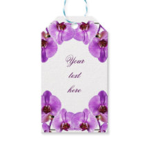 Belle orchidée violette phalaenopsis