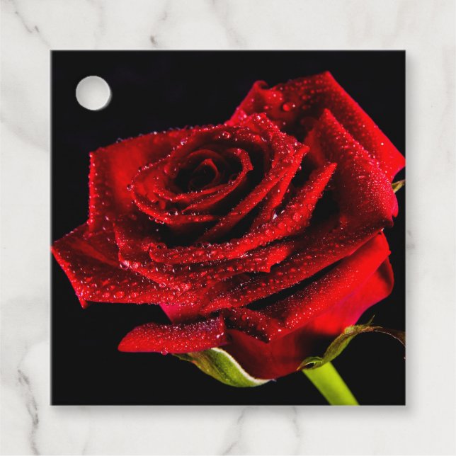 Étiquettes Cadeau Belle rose rouge (Devant)