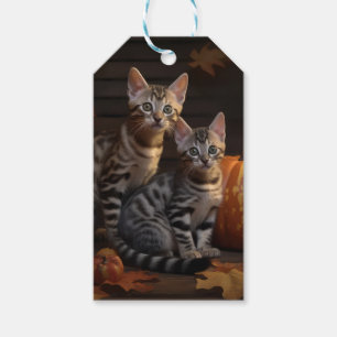 Étiquettes-cadeau Bengal Kitten Automne Citrouille de plaisir