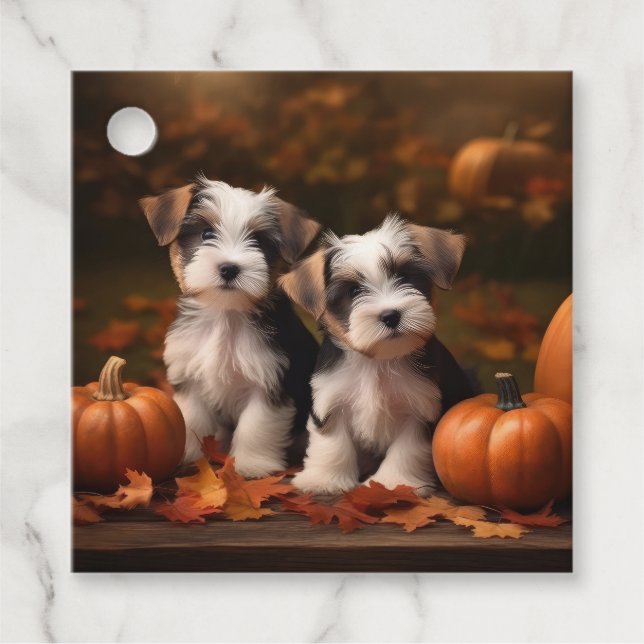 Étiquettes Cadeau Biewer Terrier Chiot Automne Citrouille délice (Devant)