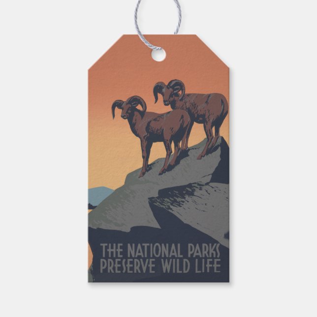 Étiquettes-cadeau Bighorn Sheep American West Wildlife (Devant)