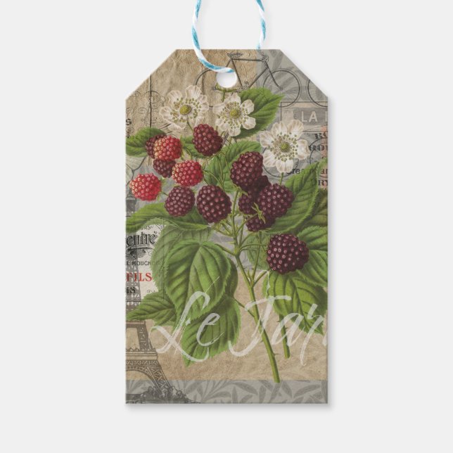 Étiquettes-cadeau Blackberries Floral Garden Flower Papillon Art (Devant)