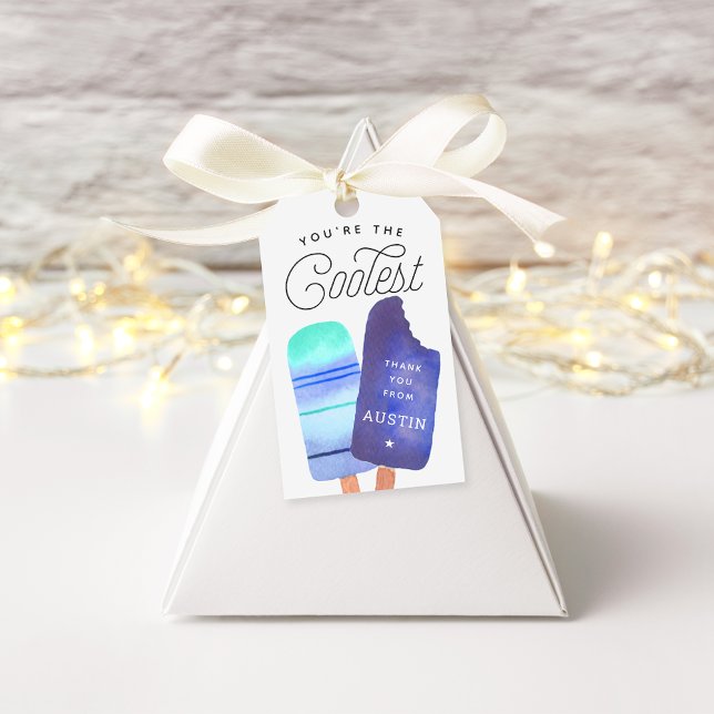 Étiquettes-cadeau Blue Popsicle fête d'anniversaire Merci Favoriser (Créateur téléchargé)