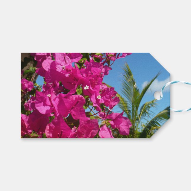 Étiquettes-cadeau Bougainvilliers et palmiers paysage tropical (Devant (Horizontal))