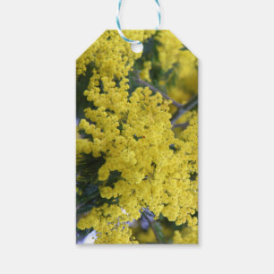 Étiquettes-cadeau Branche de mimosa