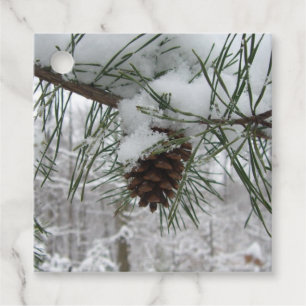 Étiquettes Cadeau Branche des pins neigeux Photographie de la nature