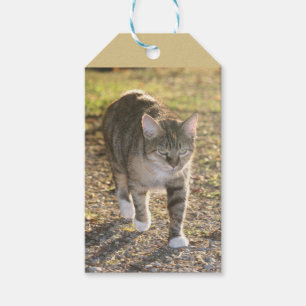 Étiquettes-cadeau Brin