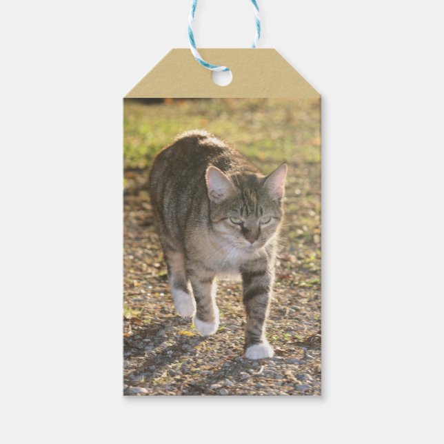 Étiquettes-cadeau Brin (Devant)