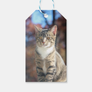 Étiquettes-cadeau Brin