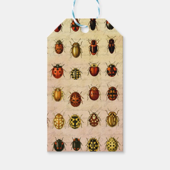 Étiquettes-cadeau Bug d'insectes coccinelle de coccinelle (Devant)