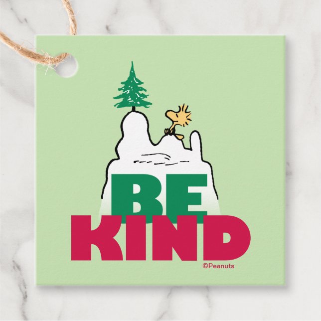 Étiquettes Cadeau cacahuètes | Snoopy & Woodstock Be Kind (Devant)