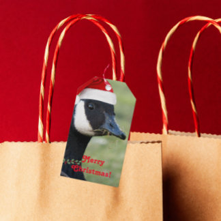 Étiquettes-cadeau Canada Goose Portant le Santa Hat Holiday