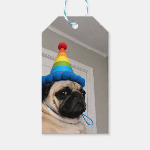Étiquettes-cadeau Carlin pygmée grincheux portant un chapeau de fête