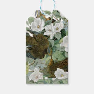 Étiquettes-cadeau Carolina Pigeon Audubon Morning Dove