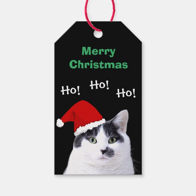 Étiquettes-cadeau Cat à Santa Hat (Devant)