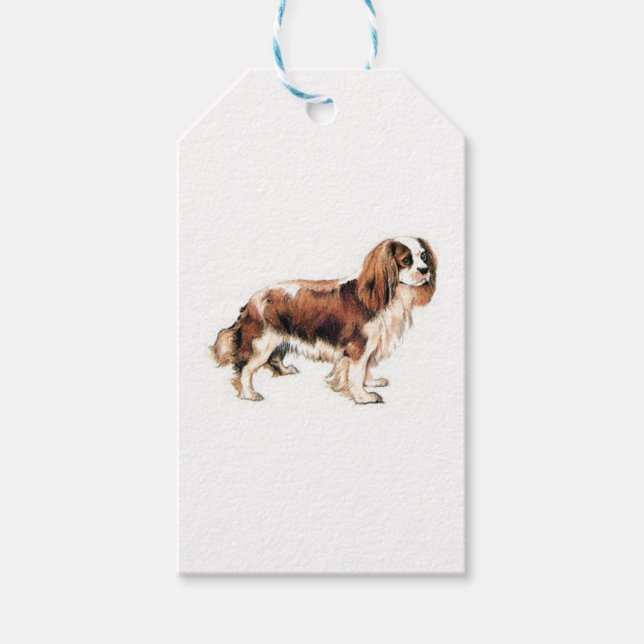 Étiquettes-cadeau Cavalier King Charles Spaniel (Devant)