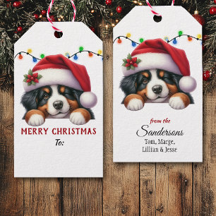 Étiquettes-cadeau Chapeau de Père Noël Chien de Montagne de Berne No