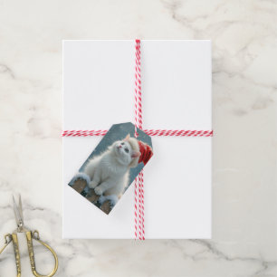 Étiquettes-cadeau Chat blanc de Noël portant un chapeau de Père Noël