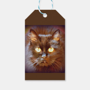 Étiquettes-cadeau chat noir