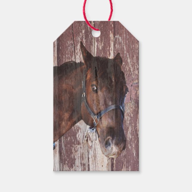 Étiquettes-cadeau Cheval yeux brun oreilles tête cowboy ouest (Devant)