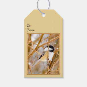 Étiquettes-cadeau Chickadee au plafond noir - Photo originale