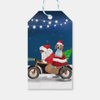 Chien beagle Noël Père Noël