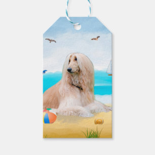 Étiquettes-cadeau Chien de chien afghan sur la plage