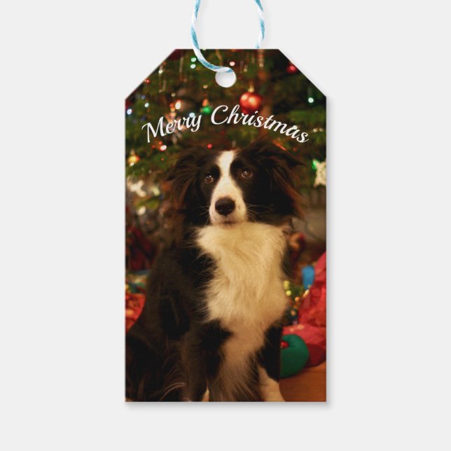 Étiquettes-cadeau Chien de Noël (Devant)