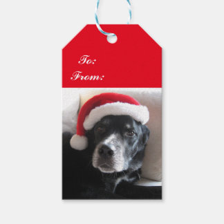 Étiquettes-cadeau Chien Santa - Labrador / Rottweiler