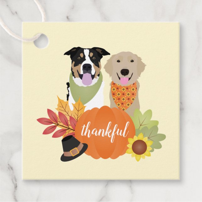 Étiquettes Cadeau Chiens de grâce Thanksgiving Citrouilles de récolt (Devant)