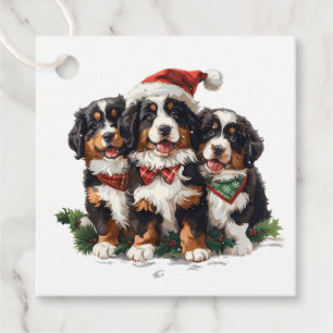Étiquettes Cadeau Chiens de montagne bernois de Noël