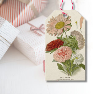 Étiquettes-cadeau China Asters - Exquise Vintage Florale Botanique