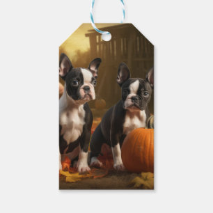 Étiquettes-cadeau Chiots Boston Terrier Délice d'Automne Citrouille