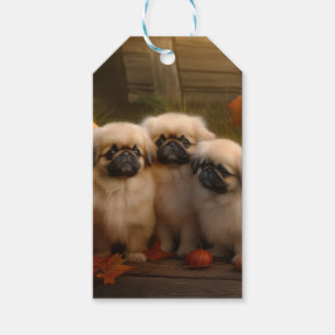 Étiquettes-cadeau Chiots Pékinois Délice d'Automne Citrouille