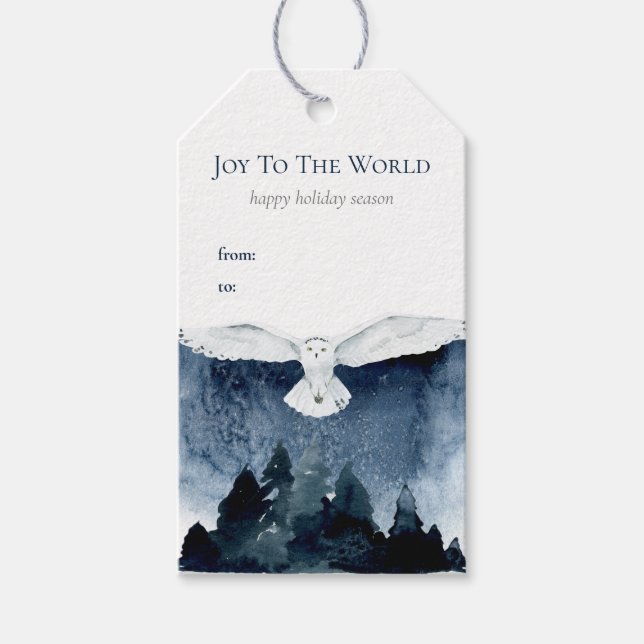 Étiquettes-cadeau Chouette de la forêt d'aquarelle Joie Noël Neige b (Devant)