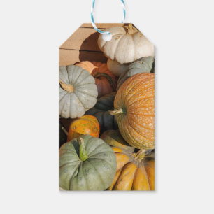 Étiquettes-cadeau Citrouilles à l'automne