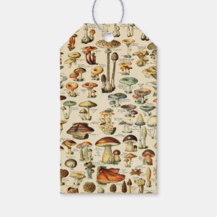 Étiquettes-cadeau Collection de champignons